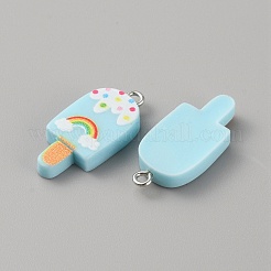 Resin Imitation Food Pendants&nbsp;RESI-TAC0010-88