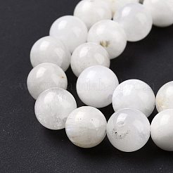 Natural Rainbow Moonstone Beads Strands&nbsp;G-I249-B04-02