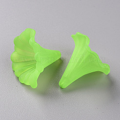 Transparent Acrylic Beads&nbsp;BSF796-C18