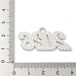 Alloy Pendants&nbsp;FIND-Z108-06P