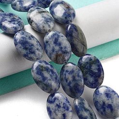 Natural Blue Spot Jasper Beads Strands&nbsp;G-P528-M26-01