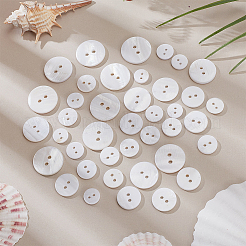 Natural Shell Buttons&nbsp;BUTT-AR0001-22