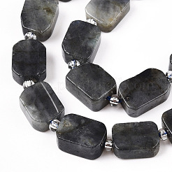 Natural Larvikite Beads Strands&nbsp;G-C098-A18-01