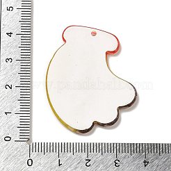 Acrylic Pendants&nbsp;OACR-R270-03I