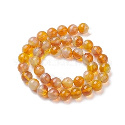 Handmade Lampwork Beads Strands&nbsp;LAMP-D072-B-02
