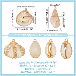 24Pcs 6 Styles Electroplated Natural Mixed Shell Pendants&nbsp;SSHEL-ME0001-03