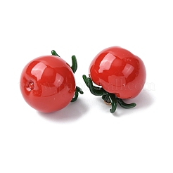 Imitation Vegetable Resin Pendants&nbsp;RESI-K033-03B-03