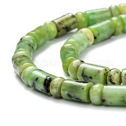 Natural Serpentine Beads Strands&nbsp;G-C074-01
