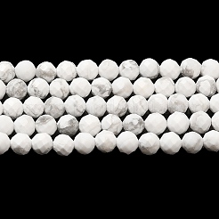 Natural Howlite Beads Strands&nbsp;G-E608-A01-B