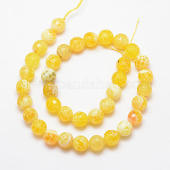 Natural Fire Crackle Agate Bead Strands&nbsp;G-K166-07F-10mm-17
