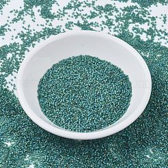 MIYUKI Delica Beads Small&nbsp;SEED-X0054-DBS0859