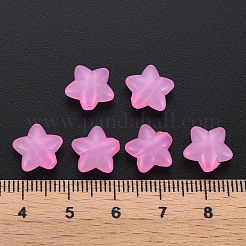 Transparent Acrylic Beads&nbsp;LS-MACR-S373-26E-10
