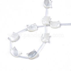 Natural White Shell Beads Strands&nbsp;SSHEL-S278-124A