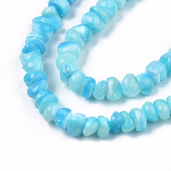 Natural Sea Shell Beads Strands&nbsp;SSHEL-S278-131D