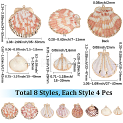 32Pcs 8 Styles Electroplated Natural Mixed Shell Pendants&nbsp;SSHEL-SC0001-62D