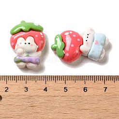 Opaque Resin Decoden Cabochons&nbsp;RESI-E053-06