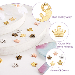 20Pcs 5 Colors Zinc Alloy Charms&nbsp;FIND-CW0001-16