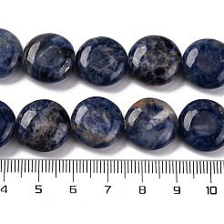 Natural Sodalite Beads Strands&nbsp;G-C159-A09-01