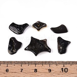 Natural Black Lip Shell Beads Strands&nbsp;SSHEL-N040-17