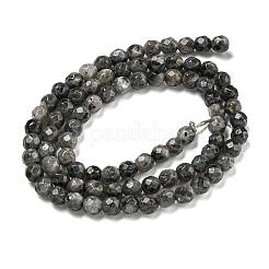Natural Larvikite Beads Strands&nbsp;G-E571-A09-04