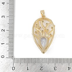 Brass Glass Pendants&nbsp;RGLA-M002-02G