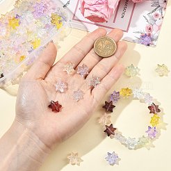 100Pcs Handmade Lampwork Beads&nbsp;LAMP-CJ0003-20