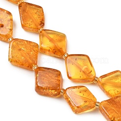 Natural Amber Beads Strands&nbsp;G-Z106-D01-02