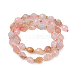 Natural Cherry Blossom Agate Beads Strands&nbsp;G-N342-149D