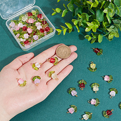60Pcs Handmade Lampwork Pendants&nbsp;FIND-DC0004-83