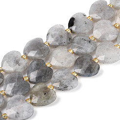 Natural Labradorite Beads Strands&nbsp;G-P592-B14-01