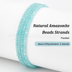 2 Strands Natural Amazonite Beads Strands&nbsp;G-OC0005-35