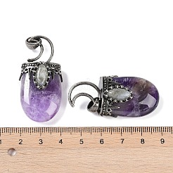 Natural Amethyst Pendants&nbsp;G-L524-17AS-07