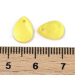 Spray Painted Natural Freshwater Shell Teardrop Charms&nbsp;LS-SHEL-K006-47C