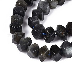 Natural Larvikite Beads Strands&nbsp;G-N327-05-28