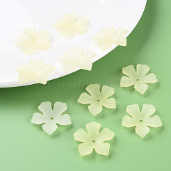 Transparent Acrylic Beads&nbsp;MACR-S373-119-D03