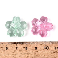 Transparent Acrylic Beads&nbsp;TACR-T030-26M