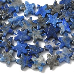 Natural Lapis Lazuli Beads Strands&nbsp;G-F817-A03-01
