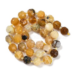 Natural Yellow Opal Beads Strands&nbsp;G-B125-O06-01