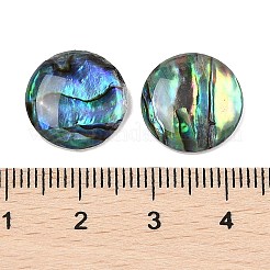 Natural Paua Shell Cabochons&nbsp;SSHEL-I026-20B