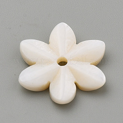 Natural Freshwater Shell Beads&nbsp;SHEL-S269-32