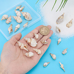 24Pcs 6 Styles Electroplated Natural Spiral Shell Pendants&nbsp;SSHEL-PH0001-50