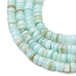 Dyed Natural Freshwater Shell Beads Strands&nbsp;SH-CBA2978-05C