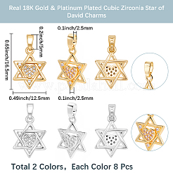 16Pcs 2 Colors Brass Micro Pave Cubic Zirconia Pendants&nbsp;KK-BBC0019-74