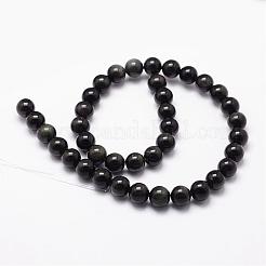 Natural Rainbow Obsidian Beads Strands&nbsp;G-D838-10mm-04