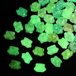 Luminous Transparent Acrylic Beads&nbsp;OACR-B031-19