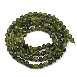 Natural Canadian Jade Beads Strands&nbsp;G-C281-A01-4mm