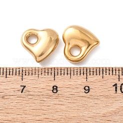 304 Stainless Steel Pendants&nbsp;STAS-I330-71G