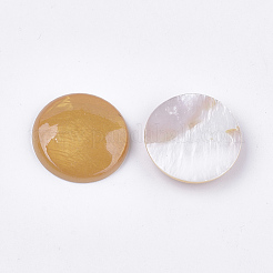 Spray Paint Freshwater Shell Cabochons&nbsp;SHEL-S276-09