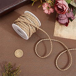10M Flat Braided Imitation Leather Cords&nbsp;LC-CL0001-04C
