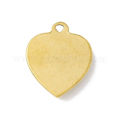 304 Stainless Steel Pendants&nbsp;LS-STAS-H171-01C